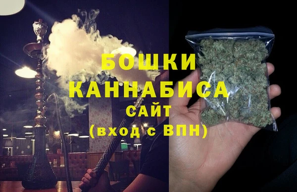 Альфа ПВП Верея