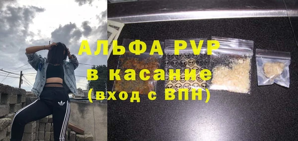 Альфа ПВП Верея
