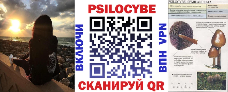 дарнет шоп  Людиново  Псилоцибиновые грибы Psilocybe 